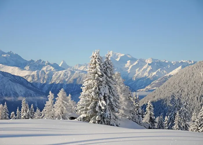 Favorite Parterre Alpesi faház Riederalp